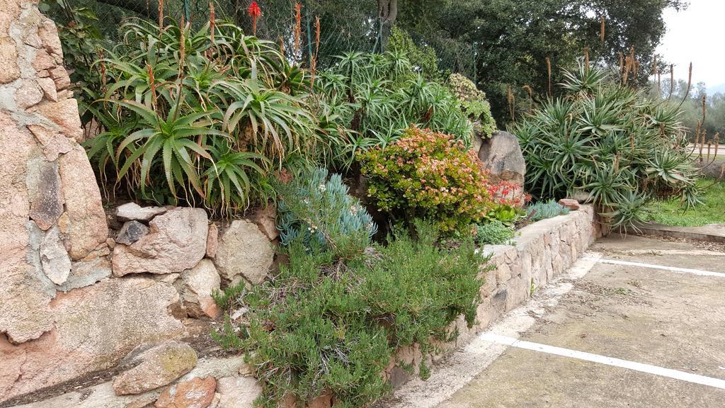 Corsica Hostel Porto-Vecchio, Partie Dortoirs Bagian luar foto